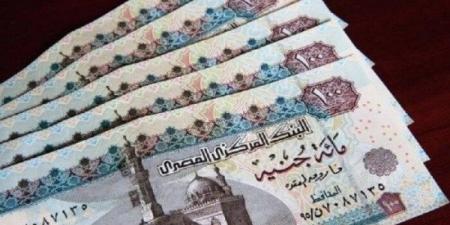 خطوات الاستعلام عن معاشات شهر مايو 2025 وأماكن الصرف - اعرف كورة