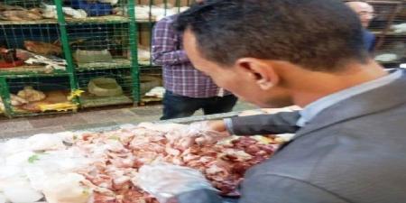 ضبط 200 كجم لحوم فاسدة في أسوان - اعرف كورة