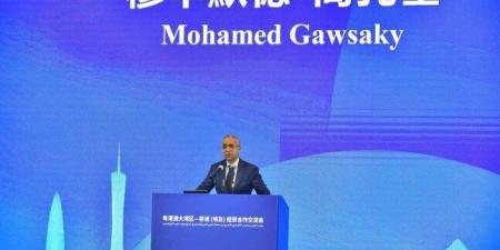 وزير الاستثمار: 17 مليار دولار حجم التبادل التجاري بين مصر والصين - اعرف كورة