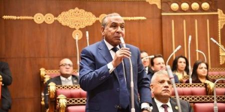 نائب: الرئيس السيسي ينادي بجذب المستثمرين الدوليين ولابد من تحفيزهم - اعرف كورة