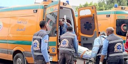 مصرع وإصابة 13 في حادث انقلاب ميكروباص بصحراوى المنيا - اعرف كورة