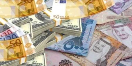 أسعار العملات العربية والأجنبية في مصر اليوم.. الأحد 25-5-2025 - اعرف كورة