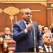 نائب: الرئيس السيسي ينادي بجذب المستثمرين الدوليين ولابد من تحفيزهم - اعرف كورة
