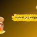 أفضل أنواع العسل في السعودية.. كيف تختار النوع المناسب لك؟ - اعرف كورة