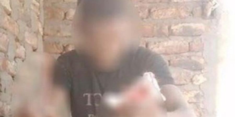 بعد انتشار الفيديو .. القبض على المتهم بـ جرح قطة بسلاح أبيض - اعرف كورة