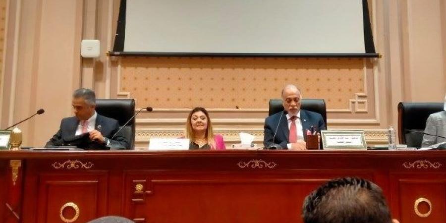 "القومي للأشخاص ذوي الإعاقة" يناقش موازنة المجلس مع لجنة التضامن - اعرف كورة