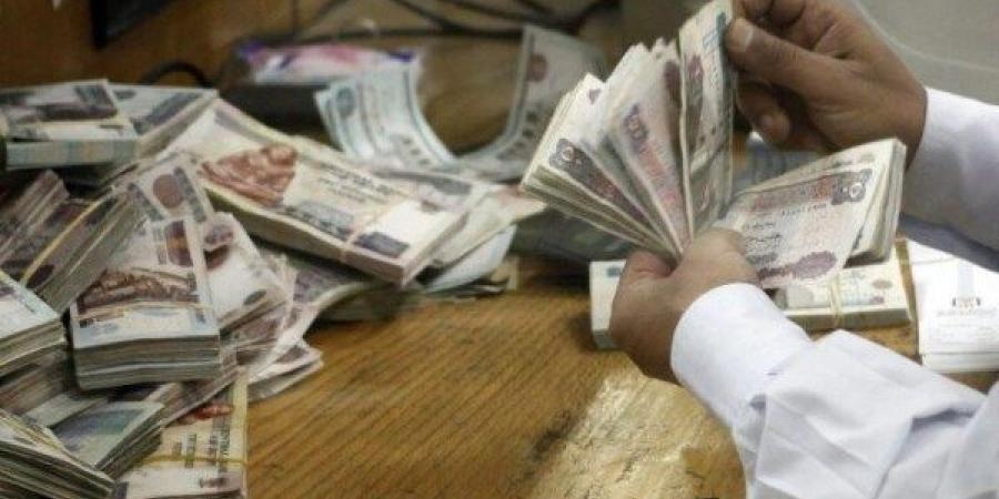 ضوابط جديدة لصرف تأمين البطالة للعاملين في القطاعين العام والخاص - اعرف كورة