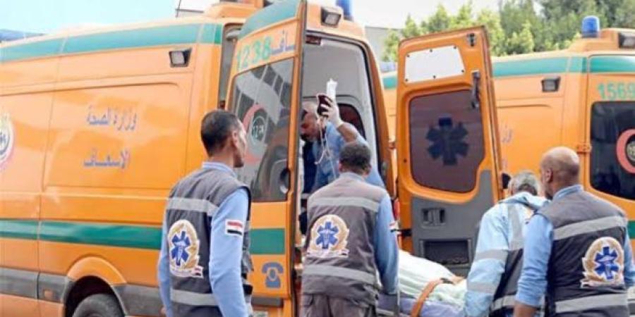 شقيقان يشرعان في قتـ..ـل بعضهما البعض بمشاجرة داميـ..ـة بسوهاج.. والسبب صادم - اعرف كورة