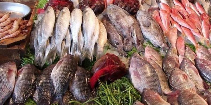 لهذه الأسباب.. تناول السمك مرة في الأسبوع - اعرف كورة