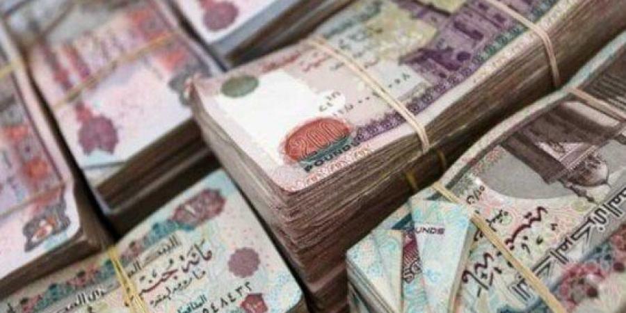 موعد زيادة مرتبات أعضاء هيئة التدريس 2025.. جدول رسمي - اعرف كورة