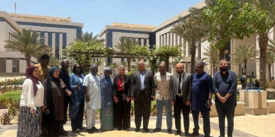 نقل الكهرباء تبحث مع وفد نيجيري التعاون في الطاقة المتجددة ..صور - اعرف كورة