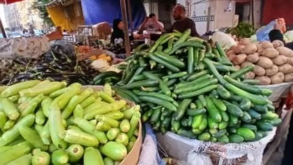 «أحدث الأسعار في الدقهلية» تراجع ملحوظ في سعر الكيلو بأسواق الخضروات اليوم