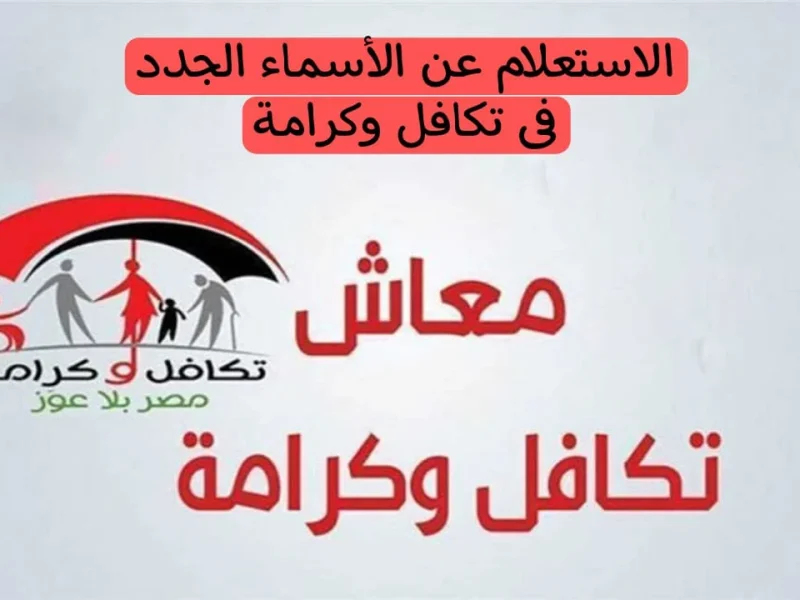 «احصل على معلوماتك بسرعة» أكثر من 100 ألف مواطن يقبلون طريقة استعلام تكافل وكرامة بالرقم القومي .. اكتشف اسمك في الكشف الآن