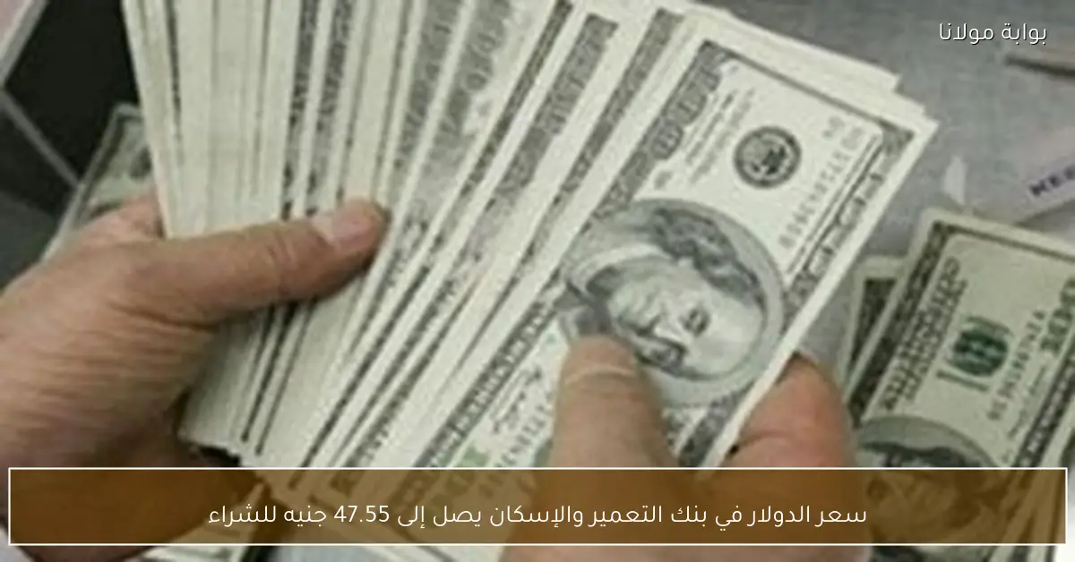 «سعر الدولار في بنك التعمير والإسكان يسجل 47.55 جنيه للشراء في التحديث الجديد»