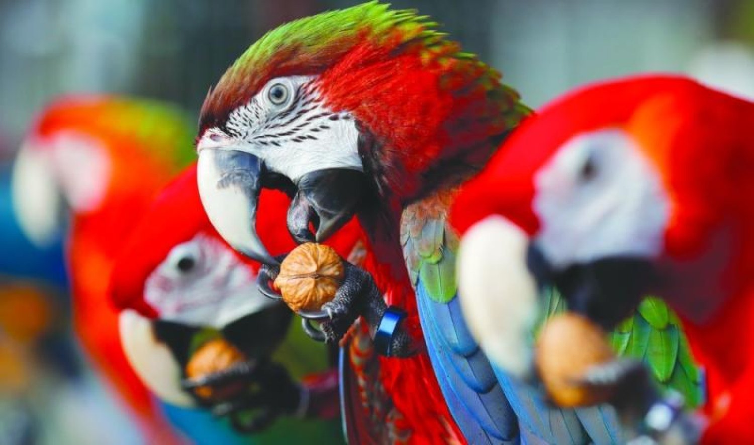 «استمتع بالموسيقى الاستوائية» تحديث تردد قناة الموسيقى الاستوائية على النايل سات مع ميزات جديدة