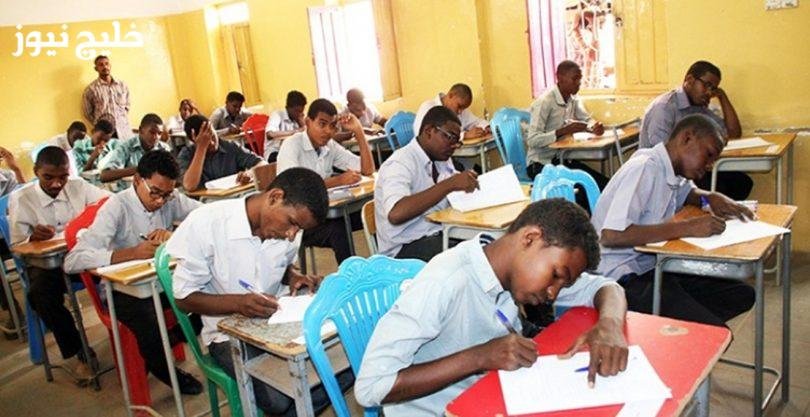 «نتائج الشهادة المتوسطة 2025-2026 في نهر النيل تكشف النقاب عن تفاصيل مذهلة على خليج نيوز»