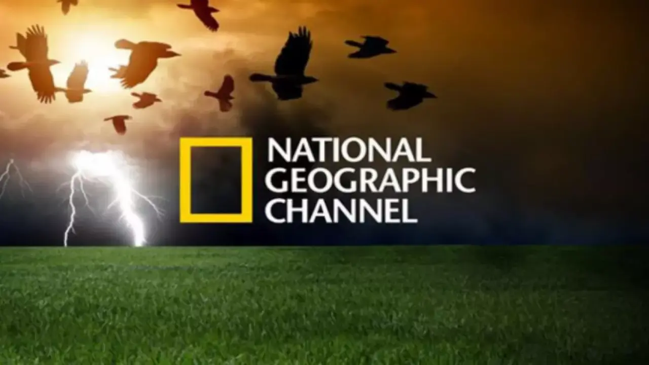«استمتع بمشاهدة جديدة» كيفية ضبط تردد قناة ناشيونال جيوغرافيك على قمر نايل سات وعرب سات