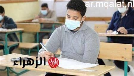 «تواصل فرق الكنترولات جهودها في تصحيح امتحانات الشهادة الإعدادية تمهيدًا لعرض النتائج»