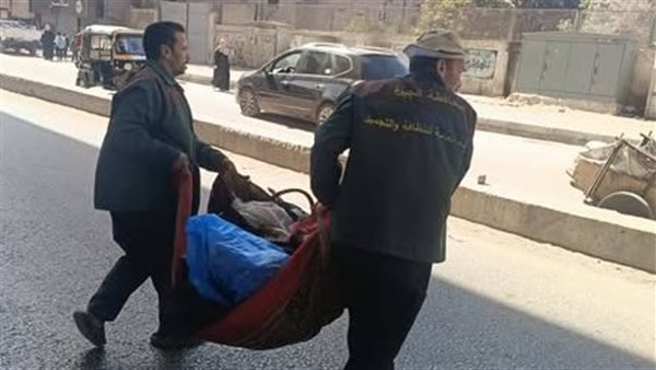 «حملات شاملة لإزالة تجمعات “الفريزة” في العجوزة وتنظيف المنطقة»