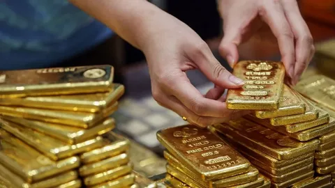 «ع surge في أسعار الذهب» ارتفاع ملحوظ في سعر الذهب بمصر اليوم الإثنين 23 فبراير 2026