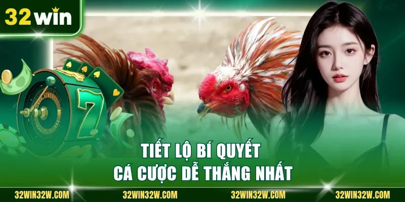 Tiết lộ bí quyết cá cược dễ thắng nhất